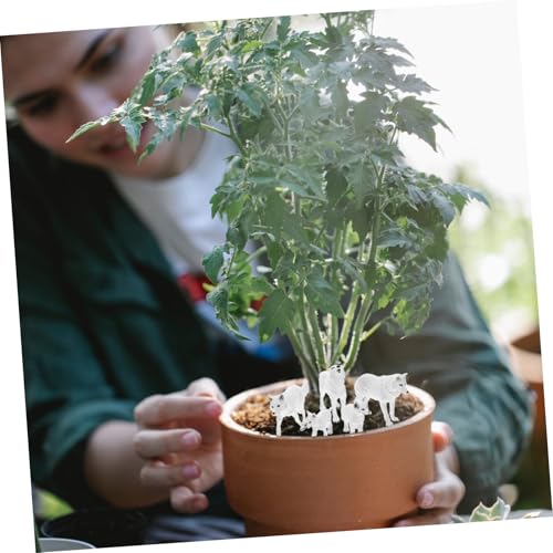 FUNOMOCYA 5 Stück Teiliges Realistisches Wolf Modellspielzeug aus Hochwertigem Detailgetreues Wildtier Ornament für Lernspielzeug Dekorative Wolf Figur für Zuhause und Garten FUNOMOCYA 5 Stück Teiliges Realistisches Wolf Modellspielzeug aus Hochwertigem Detailgetreues Wildtier Ornament für Lernspielzeug Dekorative Wolf Figur für Zuhause und Garten von FUNOMOCYA