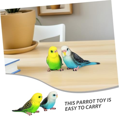 FUNOMOCYA 6 Stück Teiliges Kleine Papagei Simulation Realistische Vogelfigur Dekoration Lernspielzeug Robust Leicht für Drinnen und Draußen FUNOMOCYA 6 Stück Teiliges Kleine Papagei Simulation Realistische Vogelfigur Dekoration Lernspielzeug Robust Leicht für Drinnen und Draußen von FUNOMOCYA
