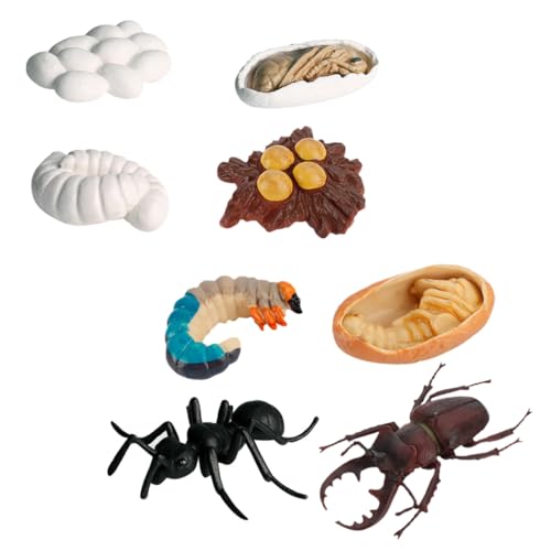FUNOMOCYA 8 Stück Teiliges Realistisches Hirschkäfer modellset Ameisenwachstumszyklus Lernspielzeug für Naturerkundung und Biologischen Bildung Pädagogisches Tiermodell FUNOMOCYA 8 Stück Teiliges Realistisches Hirschkäfer modellset Ameisenwachstumszyklus Lernspielzeug für Naturerkundung und Biologischen Bildung Pädagogisches Tiermodell von FUNOMOCYA
