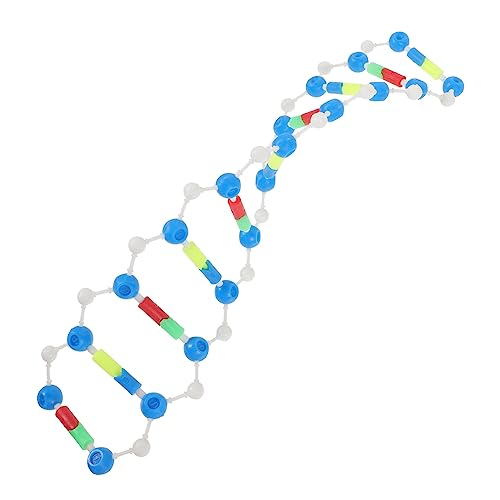 FUNOMOCYA DNA Doppelhelix Modellkomponenten DIY Doppelhelix Modell Lehr DNA Lernwerkzeug Pädagogisches DNA Modell Wissenschaftslehrmodell Kunststoff DNA Modell Pädagogische von FUNOMOCYA