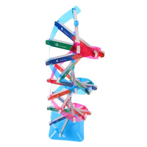 FUNOMOCYA Farbenfrohes DNA-Modell Kit Präzises Doppelhelix-Struktur Lernspielzeug Langlebiges Leicht Montierbares Biologie Lehrmittel für Schule Wissenschaft und Bildung Kompakt Tragbar FUNOMOCYA Farbenfrohes DNA-Modell Kit Präzises Doppelhelix-Struktur Lernspielzeug Langlebiges Leicht Montierbares Biologie Lehrmittel für Schule Wissenschaft und Bildung Kompakt Tragbar von FUNOMOCYA