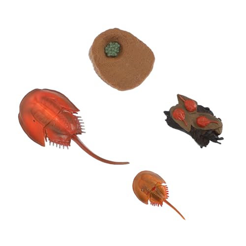 FUNOMOCYA Realistisches Mini Meerestiere Simulation Modell Lernspielzeug Bastelset Pädagogisch Robust Korrosionsbeständig Vielseitig als Dekoration und Unterrichtshilfe Geeignet FUNOMOCYA Realistisches Mini Meerestiere Simulation Modell Lernspielzeug Bastelset Pädagogisch Robust Korrosionsbeständig Vielseitig als Dekoration und Unterrichtshilfe Geeignet von FUNOMOCYA