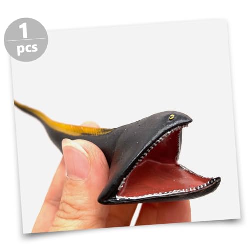 FUNOMOCYA Realistisches Tiermodell aus Robustem Kunststoff Detailgetreues Fischspielzeug für Pädagogisches Kognitives Lernspielzeug Leicht und Tragbar für Schule Zuhause Outdoor Spaß FUNOMOCYA Realistisches Tiermodell aus Robustem Kunststoff Detailgetreues Fischspielzeug für Pädagogisches Kognitives Lernspielzeug Leicht und Tragbar für Schule Zuhause Outdoor Spaß von FUNOMOCYA