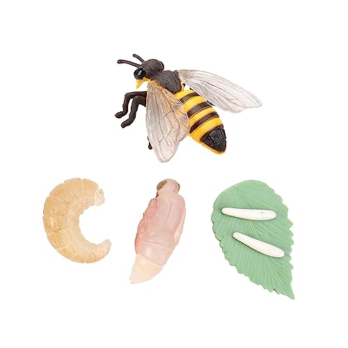 FUNOMOCYA Simulation Tierentwicklungsmodell Bienen Lebenszyklus Lernspielzeug für Pädagogisch Material Langlebig und Kreativ für Unterricht Rollenspiele Partys und Geschenke FUNOMOCYA Simulation Tierentwicklungsmodell Bienen Lebenszyklus Lernspielzeug für Pädagogisch Material Langlebig und Kreativ für Unterricht Rollenspiele Partys und Geschenke von FUNOMOCYA