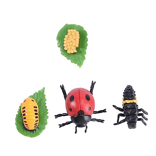 FUNOMOCYA Simulation Tierlebenszyklus Modell Marienkäfer Spinne Biene Insekten Lernspielzeug Partydekoration Naturgetreu Pädagogisch FUNOMOCYA Simulation Tierlebenszyklus Modell Marienkäfer Spinne Biene Insekten Lernspielzeug Partydekoration Naturgetreu Pädagogisch von FUNOMOCYA