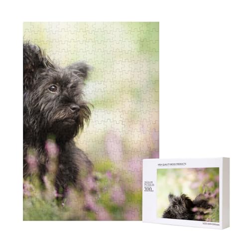 Affenpinscher Lawn Black Dogs Monkey Terrier, Puzzle Für Erwachsene, 300 Teile, Puzzle Für Erwachsene, Puzzle 300 Teile, Für Erwachsene, Herausfordernde Puzzlespiele,11x15,7 Zoll von FUkker