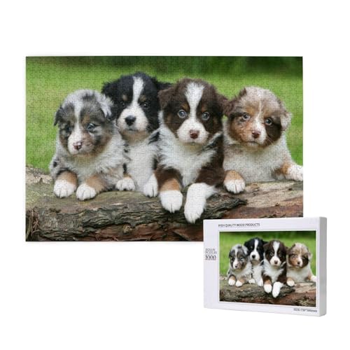 Australian Shepherd Small Puppies Quartet, 1000 Stück Holzspielzeug, Puzzlespiele, Erwachsenenpuzzle, Familienspiele, Wanddekorationen,wie Gezeigt,Einheitsgröße von FUkker