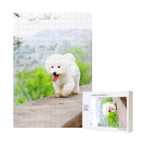 Bichon Frise Park Haustiere Hunde Bichon Frise Hunde, Puzzle Für Erwachsene, 300 Teile Puzzle Für Erwachsene, Puzzle 300 Teile Für Erwachsene Anspruchsvolle Puzzlespiele,11x15,7 Zoll von FUkker