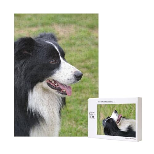 Border Collie, Puzzle Für Erwachsene, 300 Teile Puzzle Für Erwachsene, Puzzle 300 Teile Für Erwachsene Anspruchsvolle Puzzlespiele,11x15,7 Zoll von FUkker