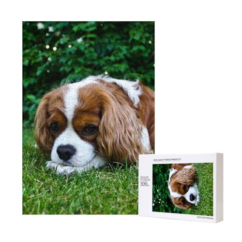 Cavalier King Charles Spaniel, Bräunlich-Weiß, Puzzle Für Erwachsene, 300 Teile, Puzzle Für Erwachsene, Puzzle 300 Teile, Für Erwachsene, Herausfordernde Puzzlespiele,11x15,7 Zoll von FUkker