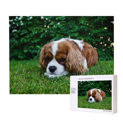 Cavalier King Charles Spaniel Bräunlich Weiß, 500 Stück Holzspielzeug Puzzlespiele Erwachsene Puzzle Familienspiele Wanddekorationen,wie Gezeigt,Einheitsgröße von FUkker