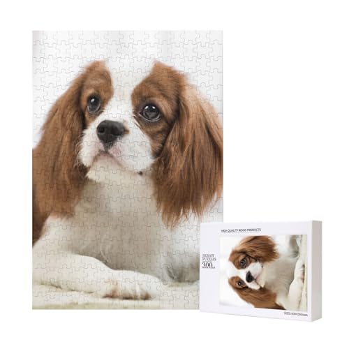 Cavalier King Charles Spaniel Brauner Spaniel, Puzzle Für Erwachsene, 300 Teile Puzzle Für Erwachsene, Puzzle 300 Teile Für Erwachsene Anspruchsvolle Puzzlespiele,11x15,7 Zoll von FUkker