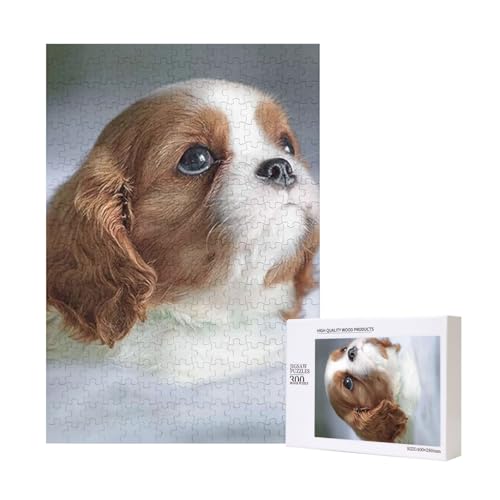 Cavalier King Charles Spaniel Gesicht, Puzzle Für Erwachsene, 300 Teile Puzzle Für Erwachsene, Puzzle 300 Teile Für Erwachsene Anspruchsvolle Puzzlespiele,11x15,7 Zoll von FUkker