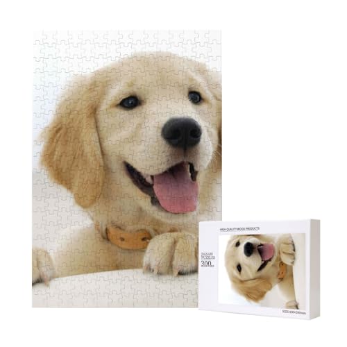 EIN Golden Retriever, Puzzle Für Erwachsene, 300 Teile Puzzle Für Erwachsene, Puzzle 300 Teile Für Erwachsene Anspruchsvolle Puzzlespiele,11x15,7 Zoll von FUkker