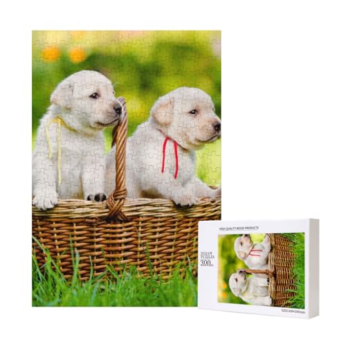 Gedrucktes Puzzle Mit Zwei Hunden In Einem Korb, 300-Teiliges Puzzle Für Erwachsene, 300-Teiliges Puzzle Für Erwachsene, Herausfordernde Puzzlespiele,11x15,7 Zoll von FUkker