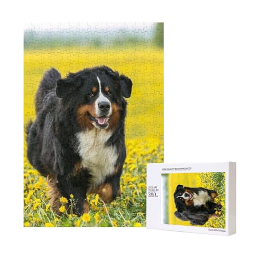 Glücklicher Berner Sennenhund, Puzzle Für Erwachsene, 300 Teile Puzzle Für Erwachsene, Puzzle 300 Teile Für Erwachsene Anspruchsvolle Puzzlespiele,11x15,7 Zoll von FUkker