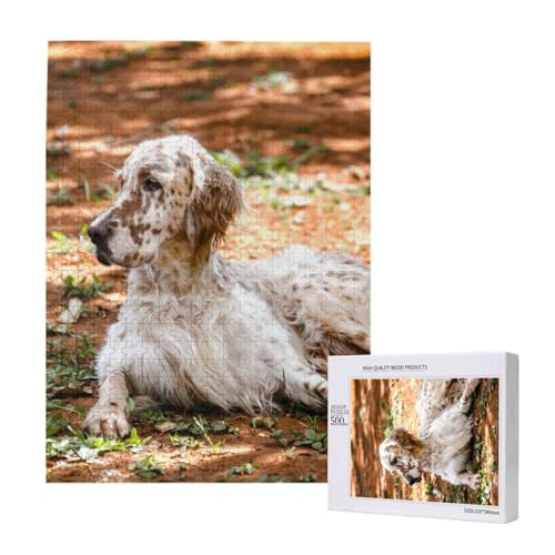 Puzzle Für Erwachsene, 500 Teile, Puzzle Für Erwachsene, Puzzle 500 Teile Für Erwachsene, Herausfordernde Puzzlespiele, Englischer Setter Autumn Pets Dogs Englisch,15x20,4 Zoll von FUkker