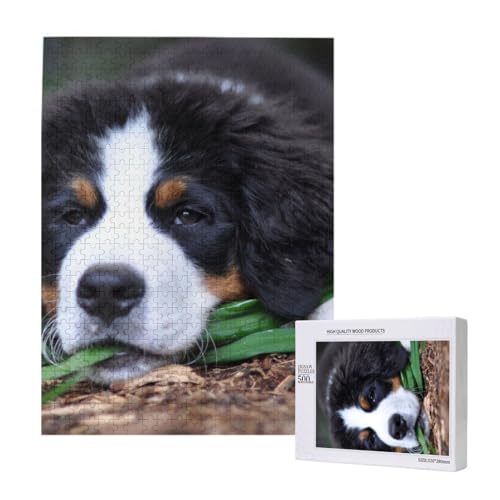 Puzzle Für Erwachsene, 500 Teile, Puzzle Für Erwachsene, Puzzle 500 Teile Für Erwachsene, Herausfordernde Puzzlespiele, Schöner Berner Sennenhund,15x20,4 Zoll von FUkker