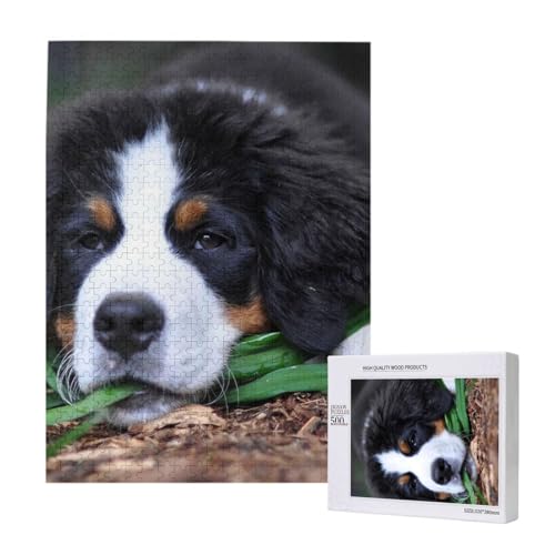 Puzzle Für Erwachsene, 500 Teile, Puzzle Für Erwachsene, Puzzle 500 Teile Für Erwachsene, Herausfordernde Puzzlespiele, Schöner Berner Sennenhund,15x20,4 Zoll von FUkker