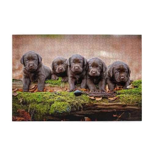 Puzzles, Puzzles für Erwachsene, herausforderndes Puzzle 1000 Teile, Bilderpuzzle aus Holz, Labrador-Welpen, braune kleine Welpen, Familie von FUkker