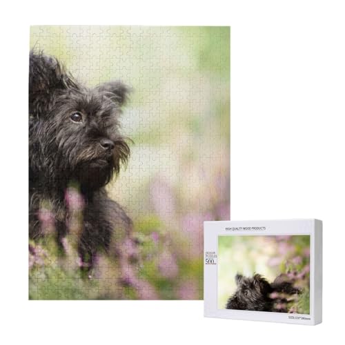 Puzzles Für Erwachsene, 500 Teile, Puzzle Für Erwachsene, Puzzle 500 Teile Für Erwachsene, Herausfordernde Puzzlespiele, Affenpinscher, Rasen, Schwarze Hunde, Affenterrier,15x20,4 Zoll von FUkker