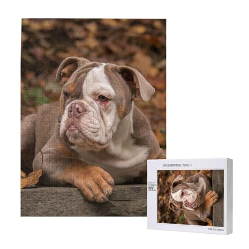 Puzzles Für Erwachsene, 500 Teile, Puzzle Für Erwachsene, Puzzle 500 Teile Für Erwachsene, Herausfordernde Puzzlespiele, American Bulldog Puppy,15x20,4 Zoll von FUkker