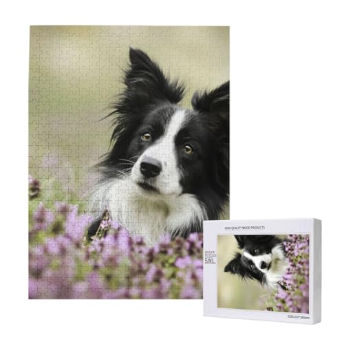 Puzzles Für Erwachsene, 500 Teile, Puzzle Für Erwachsene, Puzzle 500 Teile Für Erwachsene, Herausfordernde Puzzlespiele, Border Collie Lawn Black Border Collie Pets,15x20,4 Zoll von FUkker