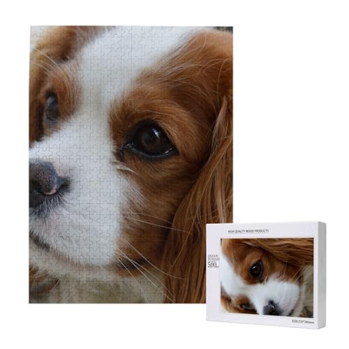 Puzzles Für Erwachsene, 500 Teile, Puzzle Für Erwachsene, Puzzle 500 Teile Für Erwachsene, Herausfordernde Puzzlespiele, Niedlicher Cavalier King Charles Spaniel,15x20,4 Zoll von FUkker