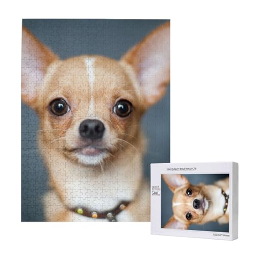 Puzzles Für Erwachsene, 500 Teile, Puzzle Für Erwachsene, Puzzle 500 Teile Für Erwachsene, Herausfordernde Puzzlespiele, Niedlicher Lustiger Chihuahua-Hund,15x20,4 Zoll von FUkker