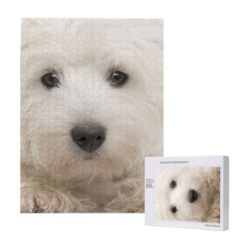 Puzzles Für Erwachsene, 500 Teile, Puzzle Für Erwachsene, Puzzle 500 Teile Für Erwachsene, Herausfordernde Puzzlespiele, Niedlicher Westie-Welpe,15x20,4 Zoll von FUkker