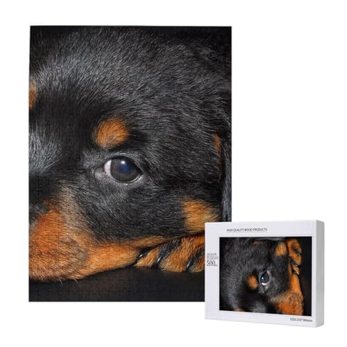 Puzzles Für Erwachsene, 500 Teile, Puzzle Für Erwachsene, Puzzle 500 Teile Für Erwachsene, Herausfordernde Puzzlespiele, Rottweiler-Welpen, Haustiere, Kleine Rottweiler-Hunde,15x20,4 Zoll von FUkker