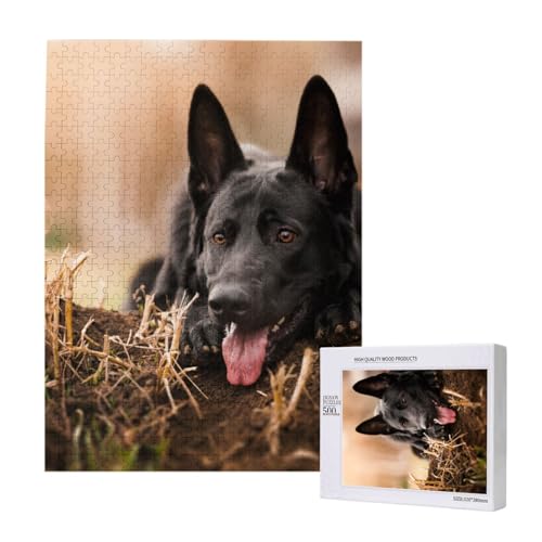 Puzzles Für Erwachsene, 500 Teile, Puzzle Für Erwachsene, Puzzle 500 Teile Für Erwachsene, Herausfordernde Puzzlespiele, Schwarzer Deutscher Schäferhund, Rasen, Bokeh-Deutsch,15x20,4 Zoll von FUkker