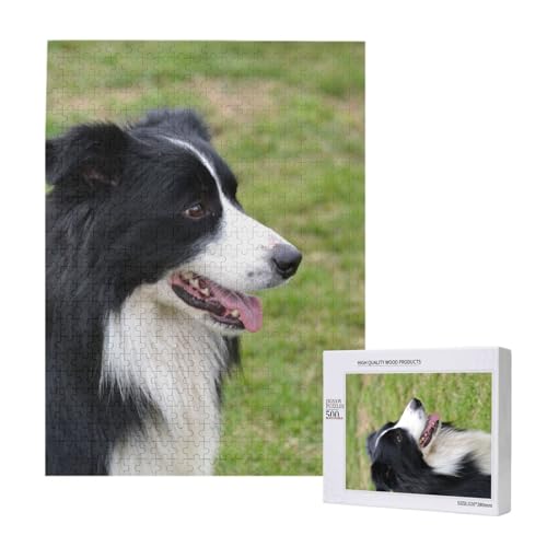 Puzzles Für Erwachsene, 500 Teile, Puzzles Für Erwachsene, Puzzle 500 Teile Für Erwachsene, Herausfordernde Puzzlespiele, Border Collie,15x20,4 Zoll von FUkker