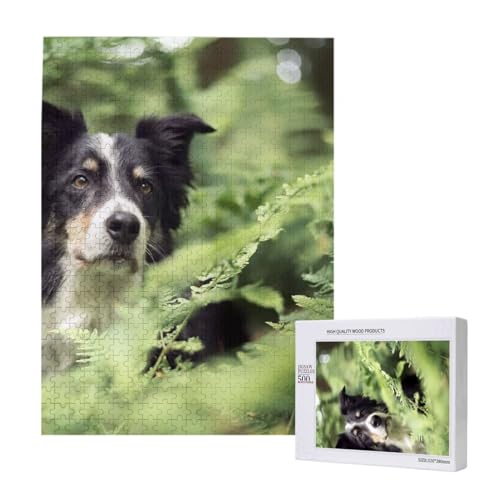 Puzzles Für Erwachsene, 500-Teiliges Puzzle Für Erwachsene, Puzzle 500 Teile Für Erwachsene, Herausfordernde Puzzlespiele, Border Collie Hunde Bokeh Haustiere Schwarz Weiß,15x20,4 Zoll von FUkker