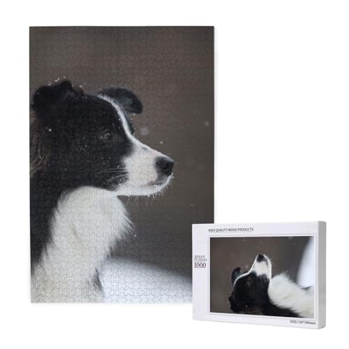 Puzzles Für Erwachsene 1000 Teile Puzzles Für Erwachsene, Puzzle 1000 Teile Für Erwachsene Anspruchsvolle Puzzlespiele Border Collie Dog Spotted Snow,19,7 x 29,5 Zoll von FUkker