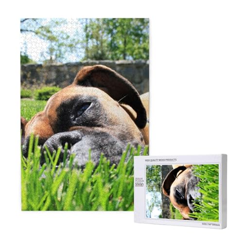 Puzzles Für Erwachsene 1000 Teile Puzzles Für Erwachsene, Puzzle 1000 Teile Für Erwachsene Anspruchsvolle Puzzlespiele Boxerhunde Grünes Gras Haustiere Rasenhunde,19,7 x 29,5 Zoll von FUkker