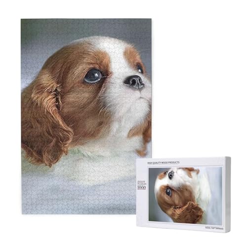 Puzzles Für Erwachsene 1000 Teile Puzzles Für Erwachsene, Puzzle 1000 Teile Für Erwachsene Anspruchsvolle Puzzlespiele Cavalier King Charles Spaniel Gesicht,19,7 x 29,5 Zoll von FUkker