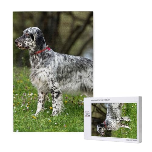 Puzzles Für Erwachsene 1000 Teile Puzzles Für Erwachsene, Puzzle 1000 Teile Für Erwachsene Anspruchsvolle Puzzlespiele Englischer Setter Rasen Haustiere Hunde Englischer Setter,19,7 x 29,5 Zoll von FUkker