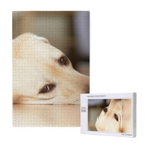 Puzzles Für Erwachsene 1000 Teile Puzzles Für Erwachsene, Puzzle 1000 Teile Für Erwachsene Anspruchsvolle Puzzlespiele Gelber Labrador-Retriever-Druck,19,7 x 29,5 Zoll von FUkker