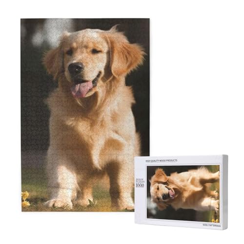 Puzzles Für Erwachsene 1000 Teile Puzzles Für Erwachsene, Puzzle 1000 Teile Für Erwachsene Anspruchsvolle Puzzlespiele Golden Retriever Dog Print,19,7 x 29,5 Zoll von FUkker