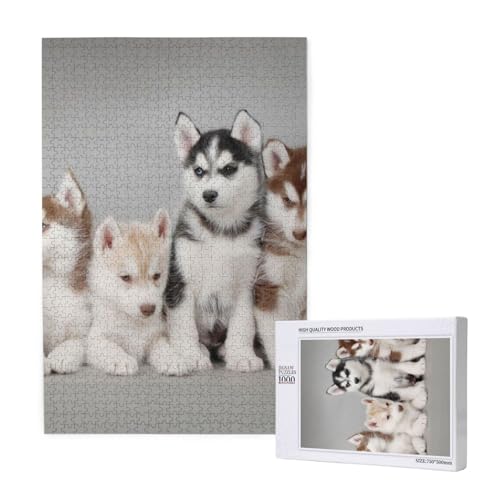 Puzzles Für Erwachsene 1000 Teile Puzzles Für Erwachsene, Puzzle 1000 Teile Für Erwachsene Anspruchsvolle Puzzlespiele Husky Huskie Dogs,19,7 x 29,5 Zoll von FUkker