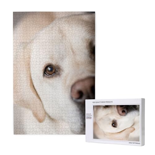 Puzzles Für Erwachsene 1000 Teile Puzzles Für Erwachsene, Puzzle 1000 Teile Für Erwachsene Anspruchsvolle Puzzlespiele Labrador-Hund,19,7 x 29,5 Zoll von FUkker