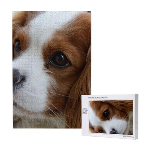 Puzzles Für Erwachsene 1000 Teile Puzzles Für Erwachsene, Puzzle 1000 Teile Für Erwachsene Anspruchsvolle Puzzlespiele Niedlicher Cavalier King Charles Spaniel,19,7 x 29,5 Zoll von FUkker