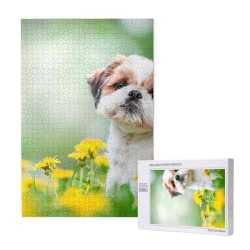 Puzzles Für Erwachsene 1000 Teile Puzzles Für Erwachsene, Puzzle 1000 Teile Für Erwachsene Anspruchsvolle Puzzlespiele Shih Tzu Little Cute Dogs Curly Puppy Pets Field,19,7 x 29,5 Zoll von FUkker