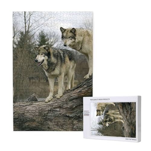 Puzzles Für Erwachsene 1000 Teile Puzzles Für Erwachsene, Puzzle 1000 Teile Für Erwachsene Anspruchsvolle Puzzlespiele Wolf Gedruckt,19,7 x 29,5 Zoll von FUkker