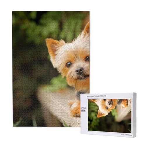 Puzzles Für Erwachsene 1000 Teile Puzzles Für Erwachsene, Puzzle 1000 Teile Für Erwachsene Anspruchsvolle Puzzlespiele Yorkshire Terrier Bokeh Cute Dogs Wall,19,7 x 29,5 Zoll von FUkker