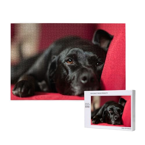 Schwarzer Labrador Retriever Haustiere Bokeh Schwarze Hunde, 1000 Stück Holzspielzeug, Puzzlespiele, Erwachsenenpuzzle, Familienspiele, Wanddekorationen,wie Gezeigt,Einheitsgröße von FUkker