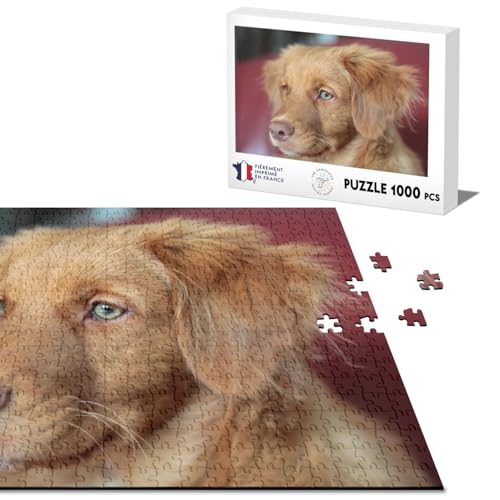 Klassische Puzzle 1000 Teile New Scotland Retriever Welpen Niedliche Puppe von Fabulous