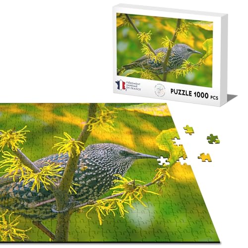 Klassische Puzzle 1000 Teile Schöner Vogel auf einem Ast Tiere Blumen Natur von Fabulous