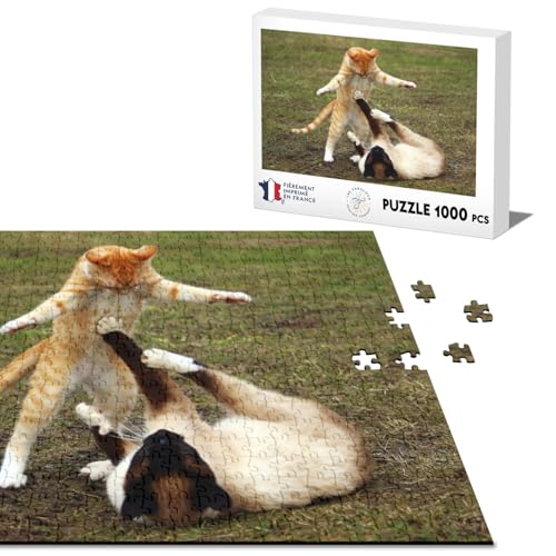 Klassische Puzzle 1000 Teile schöne süße Katzen spielen kämpfen siamesisch rot von Fabulous